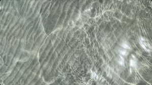 Bild von Maikranz & Avanessian